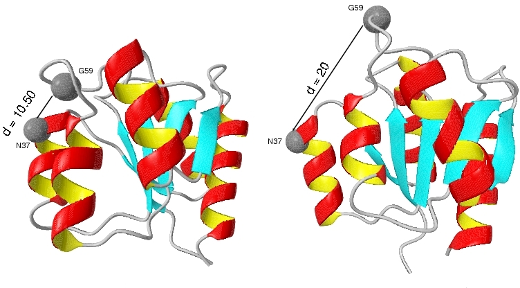 protein conformational change